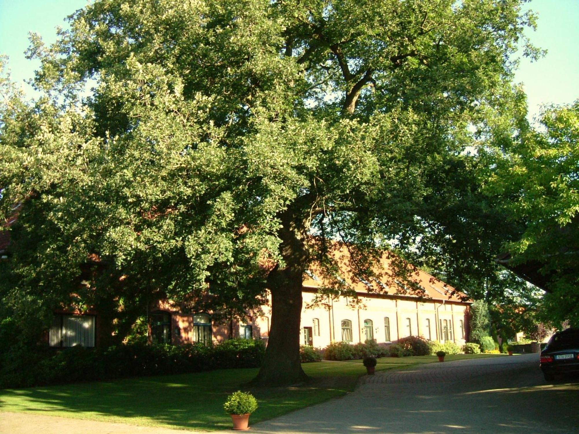 Etelsen Gaestehaus Schlossgarten מראה חיצוני תמונה
